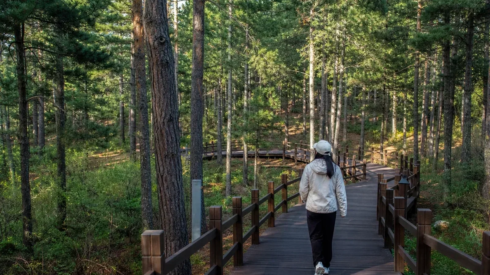 Jingyuetan forest air in Changchun
