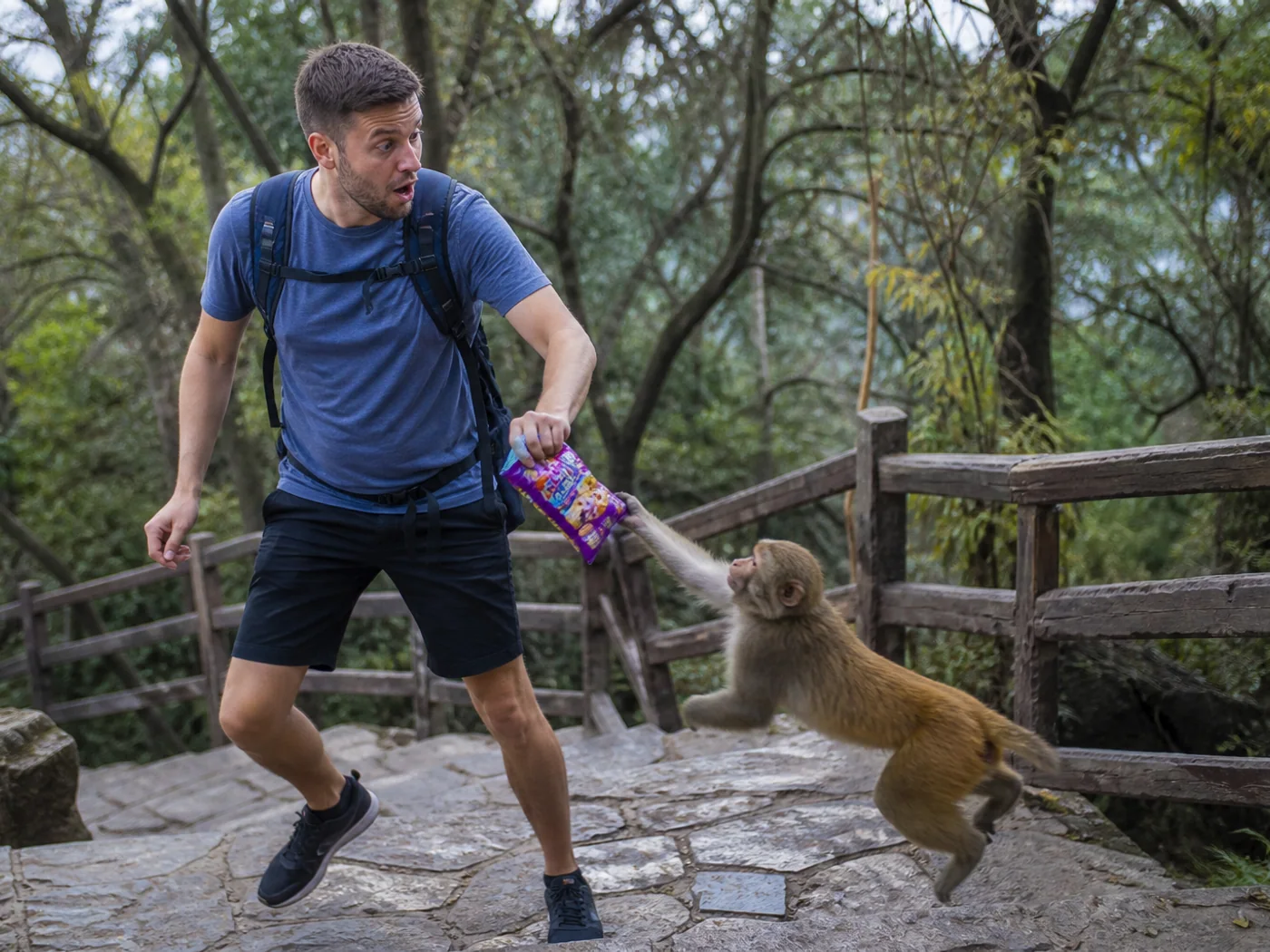 Traveler avoiding monkey