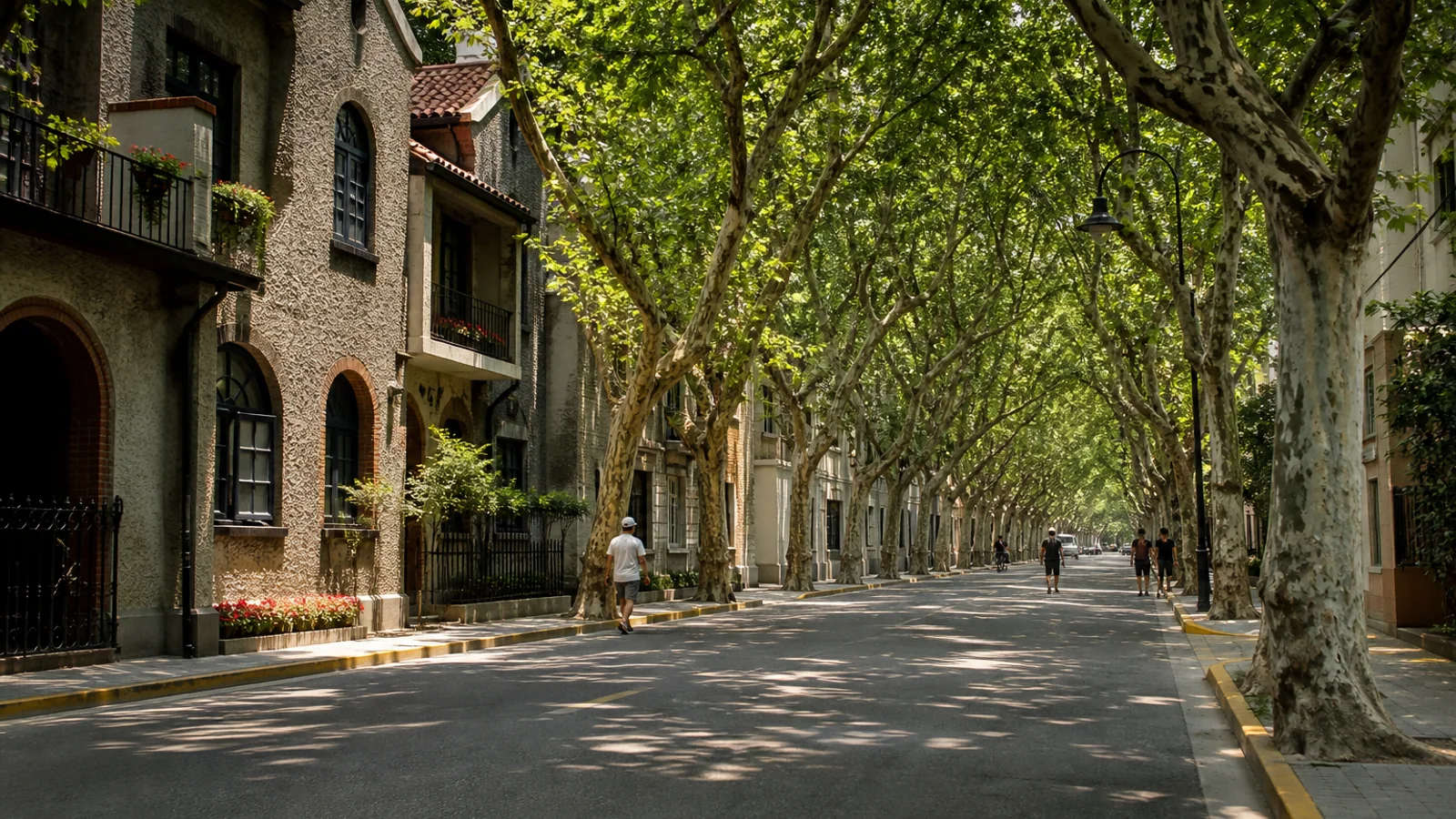 Former French Concession in Shanghai