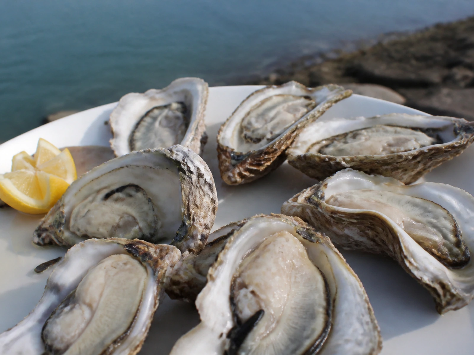 Hengqin oysters in Zhuhai